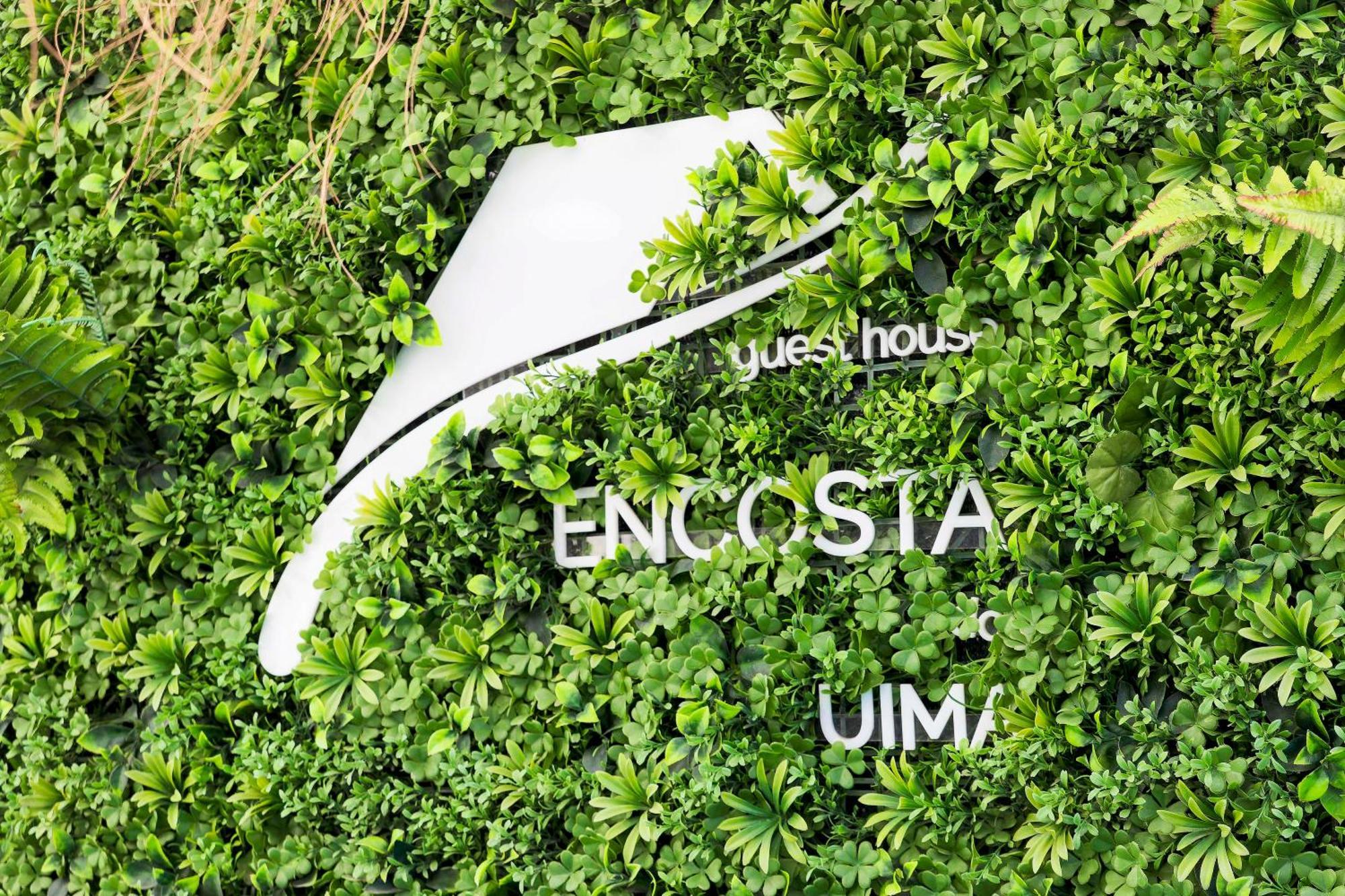 Encosta Do Uima - Guest House Caldas de Sao Jorge Εξωτερικό φωτογραφία